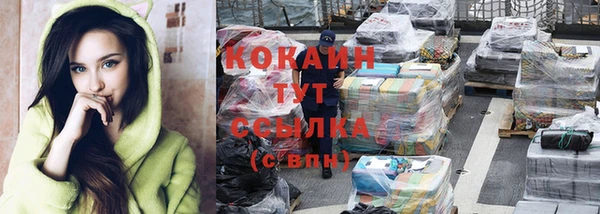 дживик Дмитриев