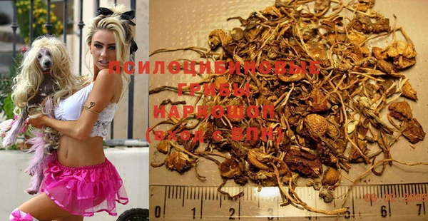 дживик Дмитриев