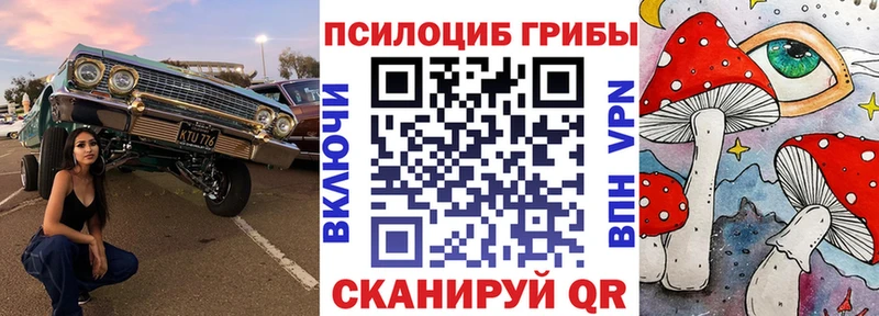 Псилоцибиновые грибы Magic Shrooms  Купить  Кубинка 